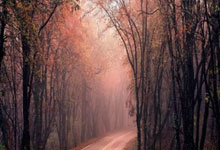 1xBit体育电竞-门兴格拉德巴赫轻松获胜，积分榜节节攀升