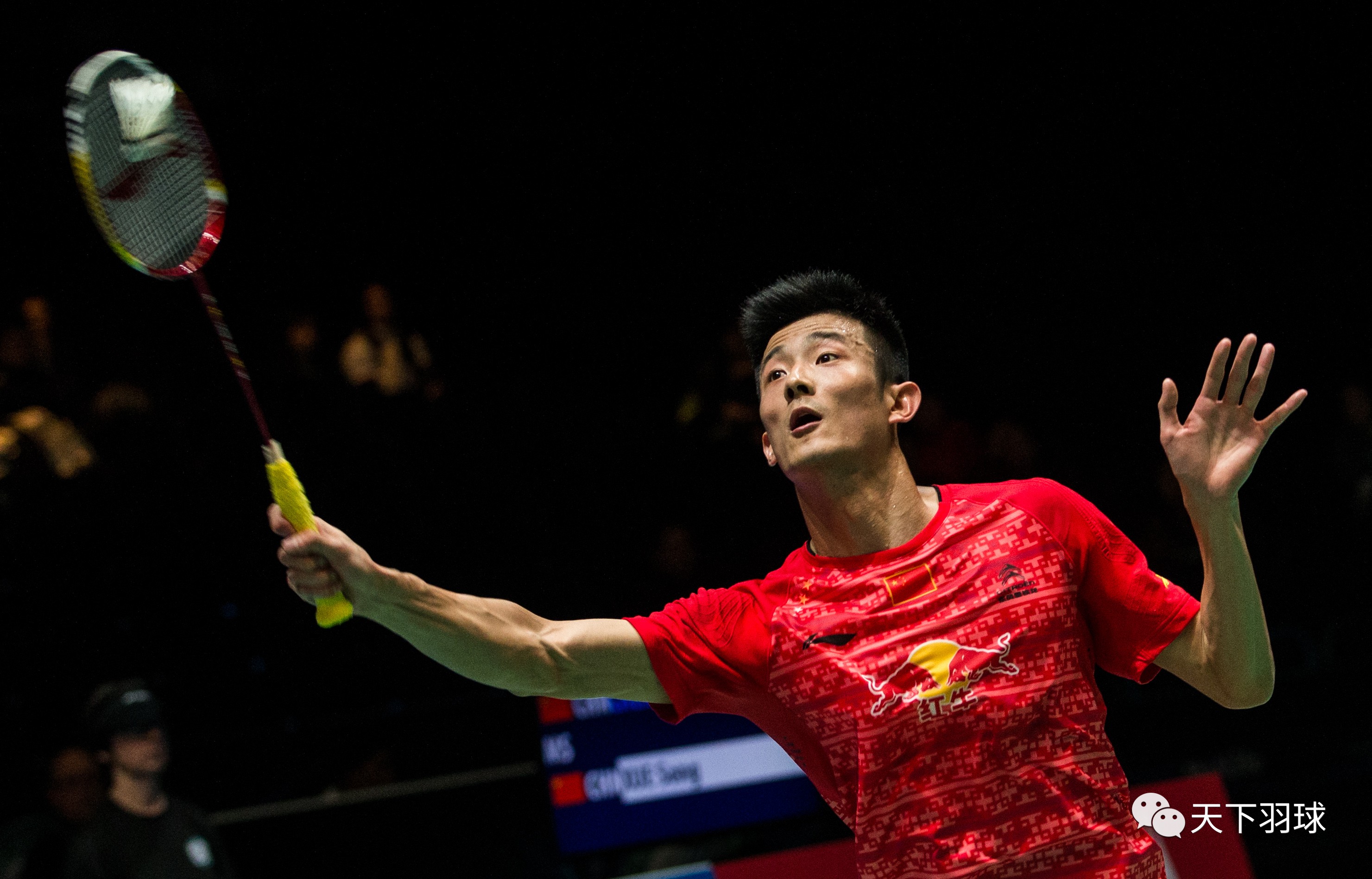 德国国家队全队备战国家队资格赛，全力以赴战胜对手的简单介绍